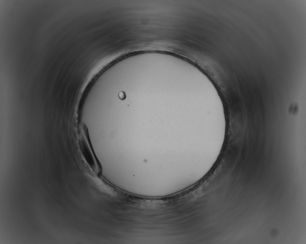 X0000101191184200807181504