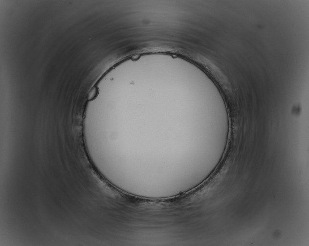 X0000101191185200807181504