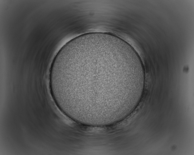 X0000101191187200807181504