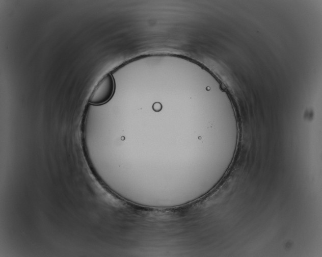 X0000101191189200807181504