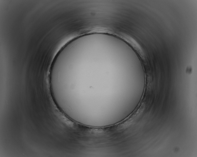 X0000101191190200807181504