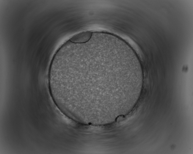 X0000101191191200807181504