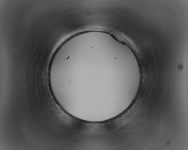 X0000101191192200807181504