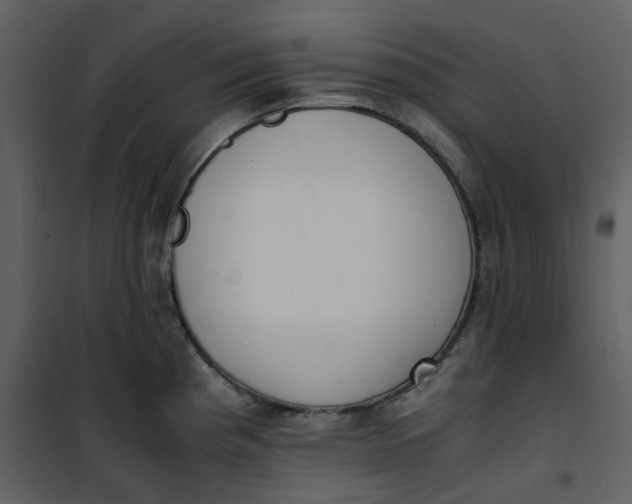 X0000101191193200807181504