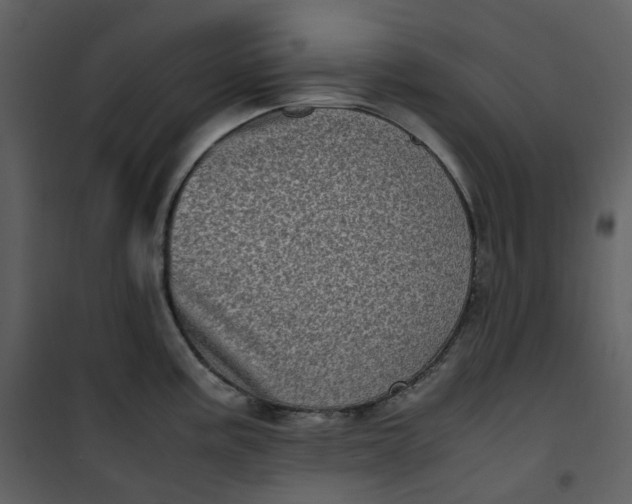 X0000101191195200807181504