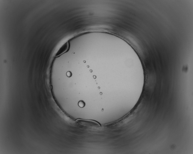 X0000101191196200807181504