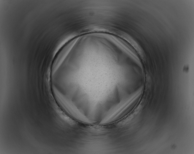 X0000101191198200807181504