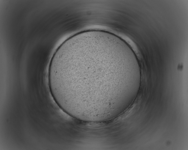 X0000101191199200807181504