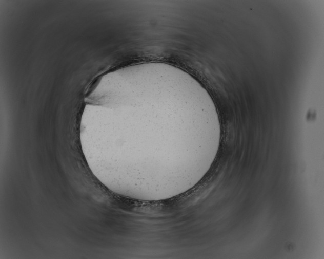X0000101191201200807181503