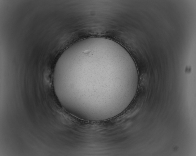 X0000101191202200807181503