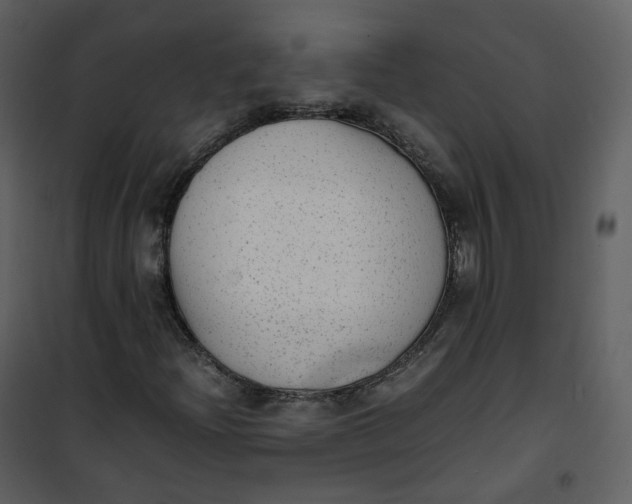 X0000101191204200807181503