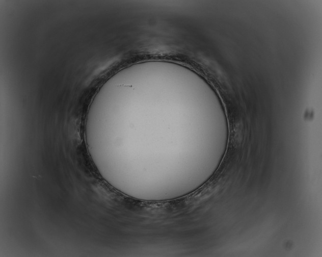 X0000101191205200807181503