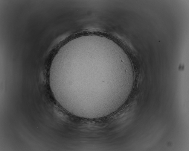 X0000101191207200807181503