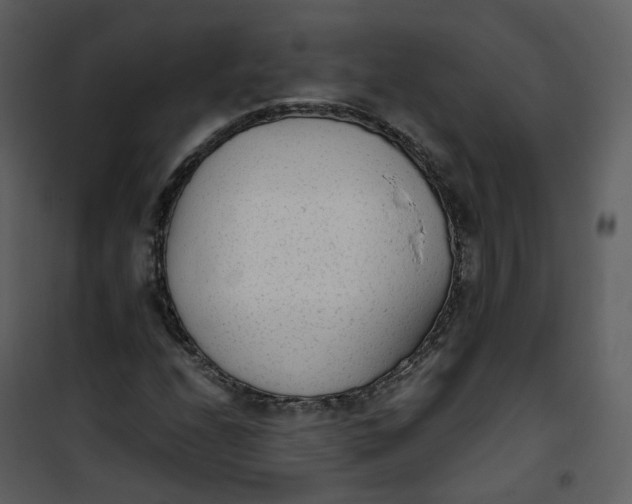 X0000101191208200807181503