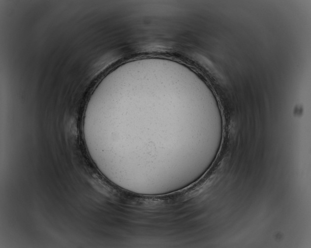 X0000101191209200807181503