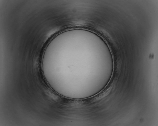 X0000101191210200807181503