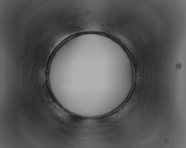 X0000101191212200807181503