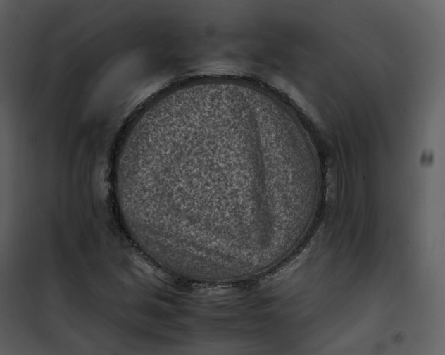 X0000101191213200807181503