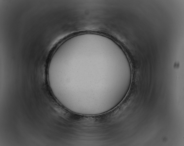 X0000101191214200807181503