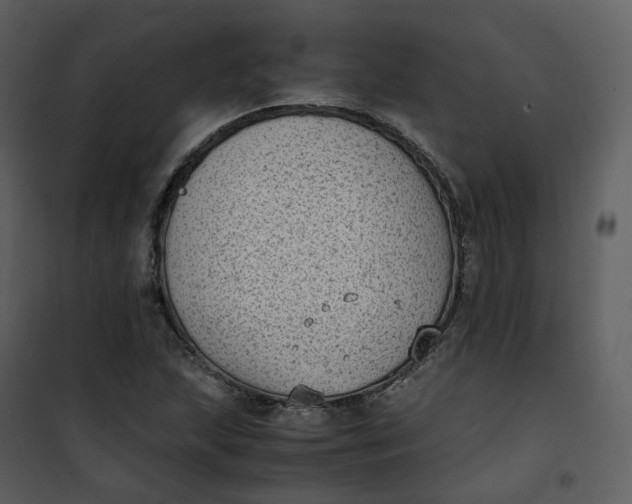 X0000101191215200807181503