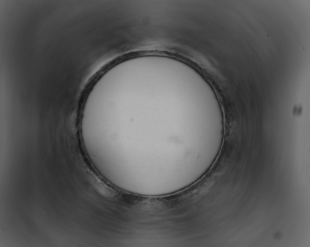 X0000101191216200807181503