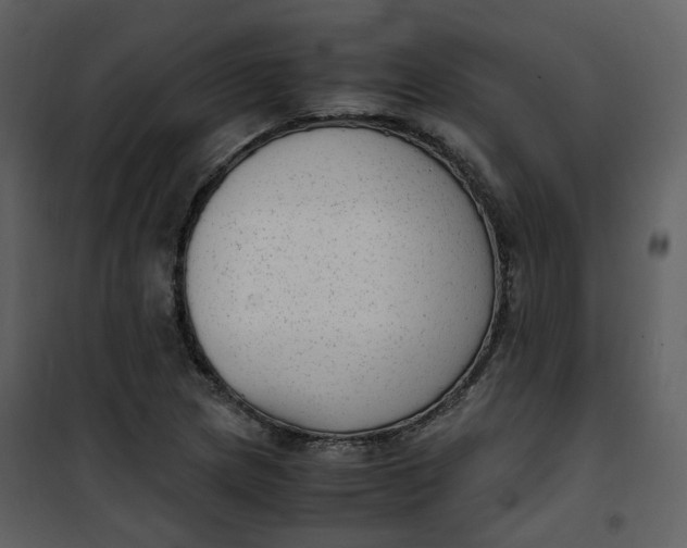 X0000101191217200807181503