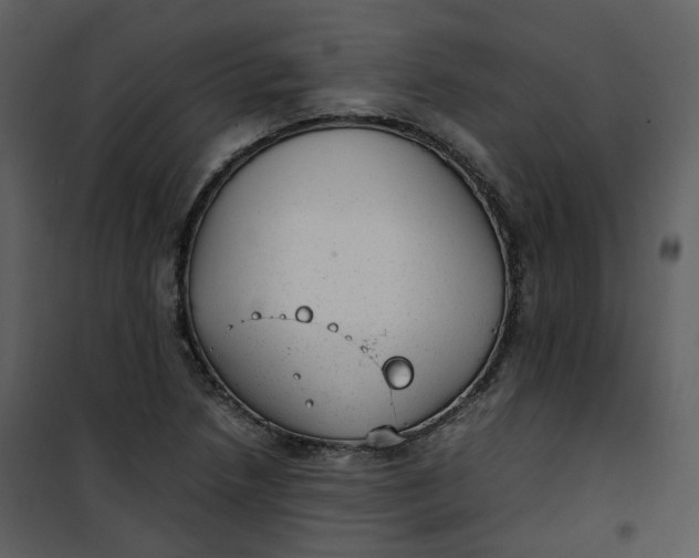X0000101191218200807181503