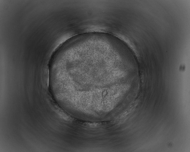X0000101191219200807181503