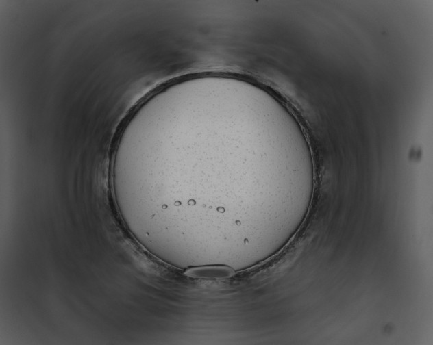 X0000101191220200807181503