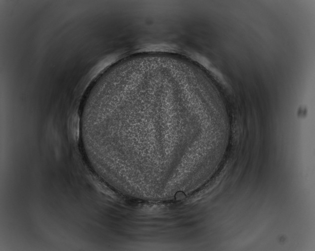 X0000101191221200807181503