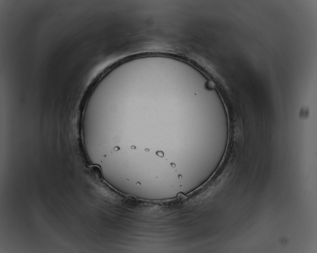 X0000101191222200807181503