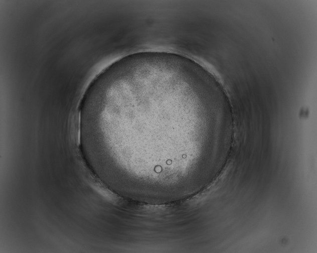 X0000101191223200807181503