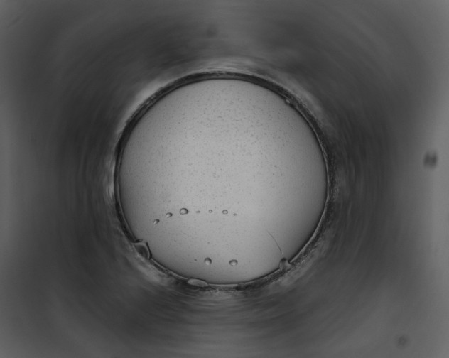 X0000101191224200807181503