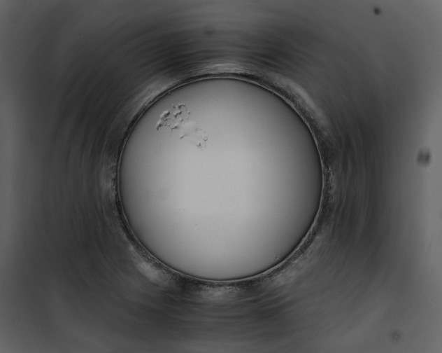 X0000101191225200807181503