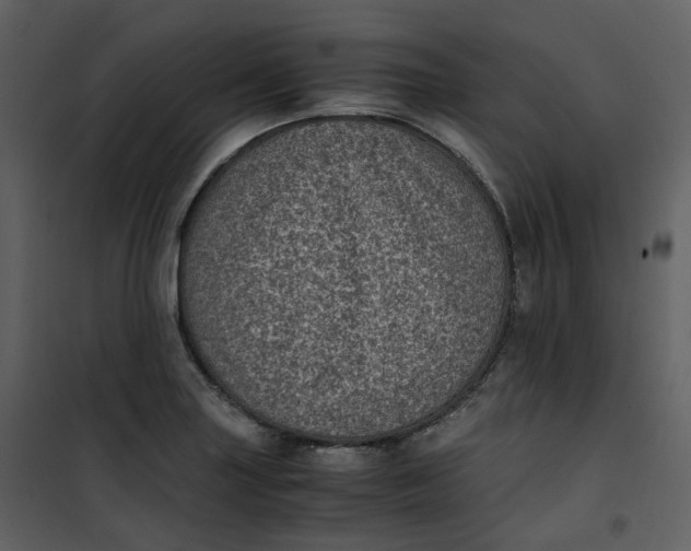 X0000101191227200807181503