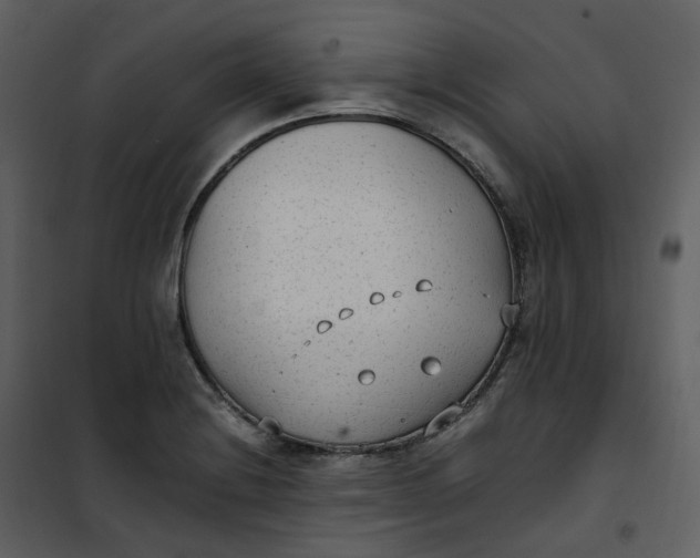 X0000101191228200807181503