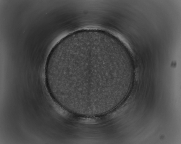 X0000101191229200807181503