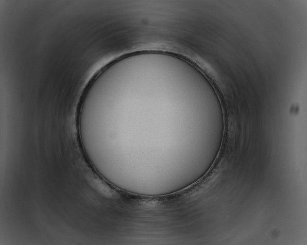 X0000101191230200807181503