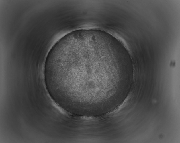 X0000101191231200807181503