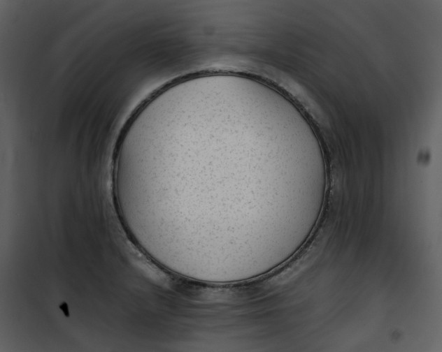 X0000101191232200807181503