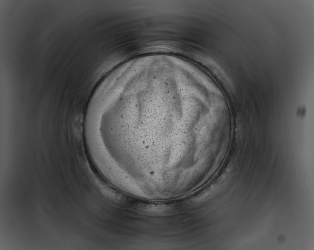 X0000101191233200807181503