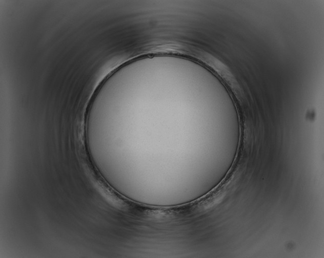 X0000101191234200807181503