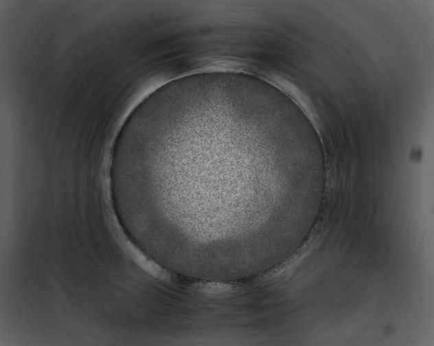 X0000101191235200807181503