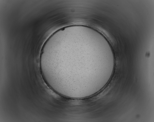 X0000101191236200807181503