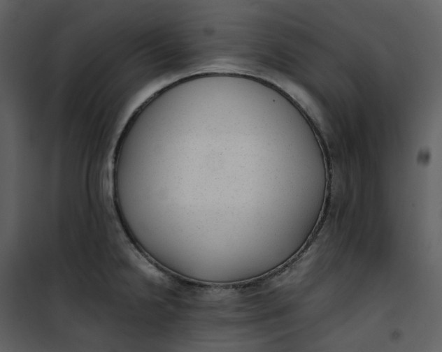 X0000101191238200807181503