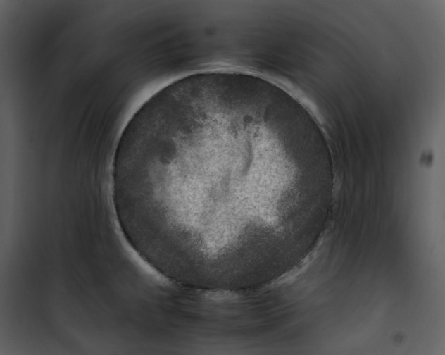 X0000101191239200807181503