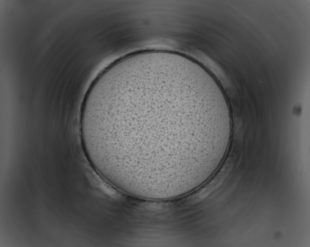X0000101191240200807181503