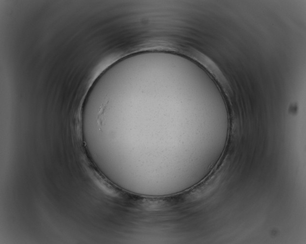 X0000101191242200807181503