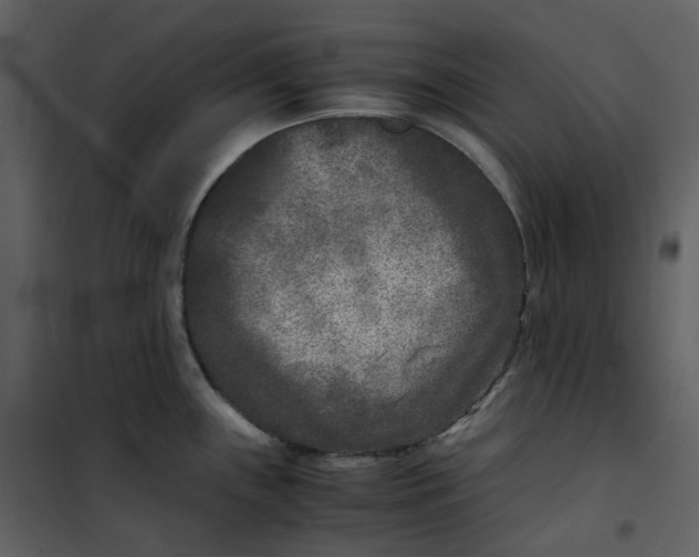 X0000101191243200807181503