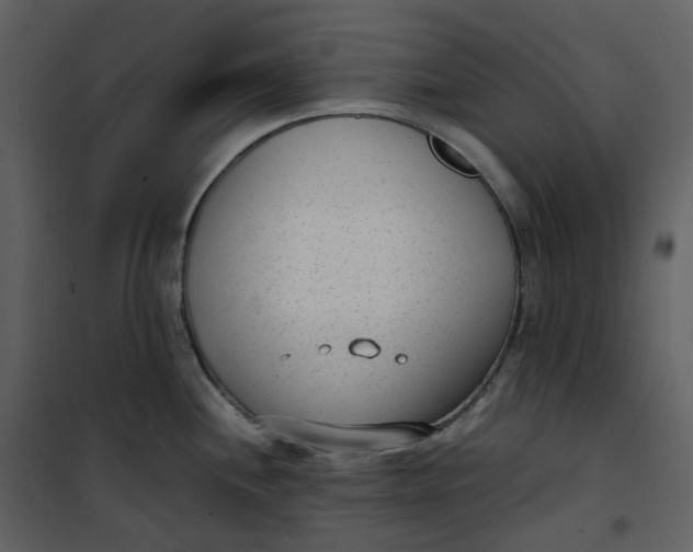 X0000101191244200807181503